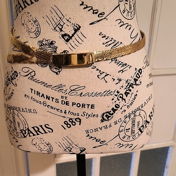 Gold Belt Accessory. Size XS/S. Adjustable. Great Condition. - Picture 2 of 11